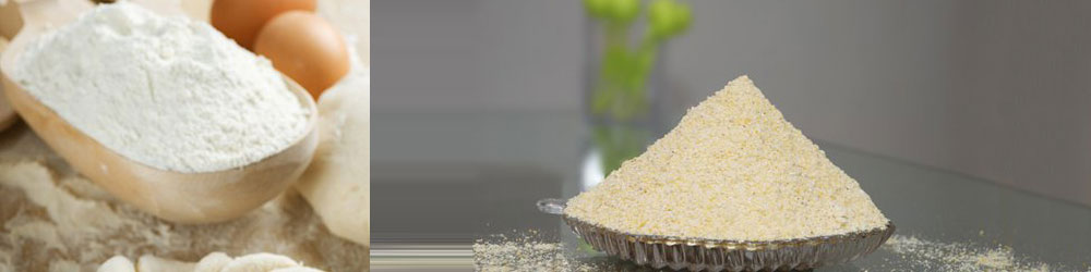Starch & its Derivatives